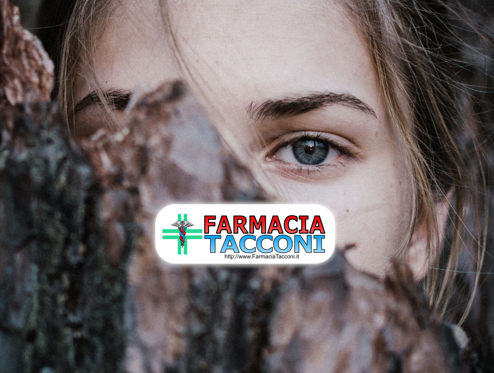 Photo by Elizaveta Dushechkina from Pexels